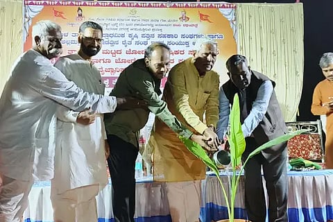 Cow is the basic basis of agriculture.