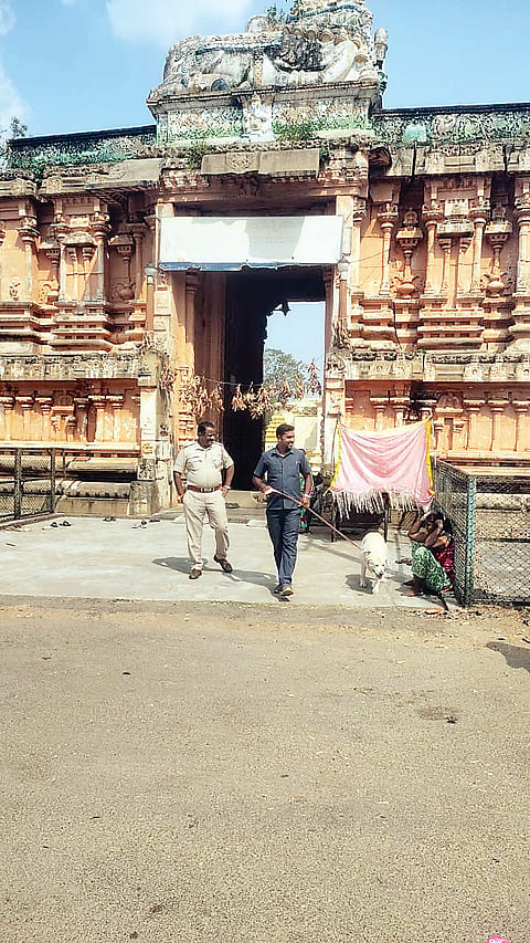 ಶಿವನಸಮುದ್ರ ಗ್ರಾಮದ ಹೊರವಲಯದಲ್ಲಿರುವ ಮಯೂರ ಹೋಟೆಲ್ ಹಿಂಭಾಗವಿರುವ ಪ್ರದೇ ಶದಲ್ಲಿ ಬಾಂಬ್ ಪತ್ತೆ ಶ್ವಾನದಳದಿಂದ ತಪಾಸಣೆ ನಡೆಯಿತು. ಗ್ರಾಮಾಂತರ ಪೊಲೀಸ್ ಠಾಣೆ ಅಪರಾಧ ವಿಭಾಗದ ಪಿಎಸ್‌ಐ ಚೆಲುವರಾಜ್ ಇದ್ದರು.