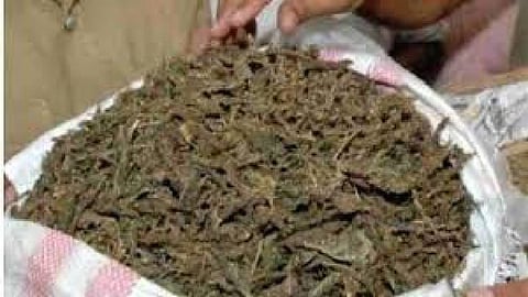 Drug