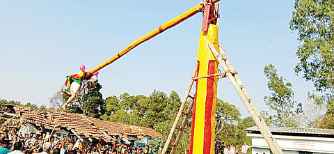 IMG-20250208-WA0241