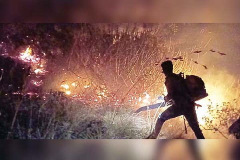 Kampli karigudda fire