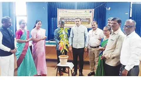 Makkala hakku