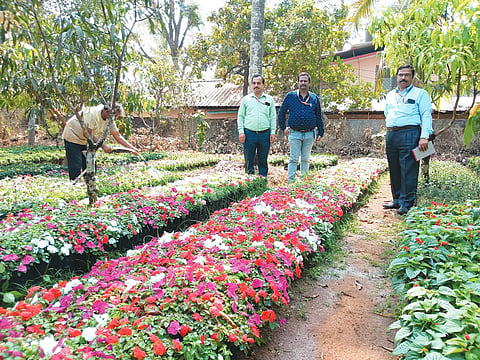 SIRSI SIRIDHANYA MELA
