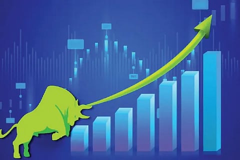 Share Market