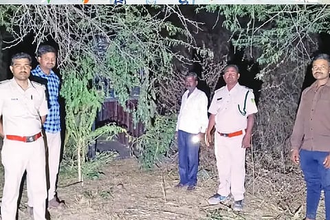 The forest department kept the bone of the leopard captive