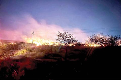 Ujjini forest fire