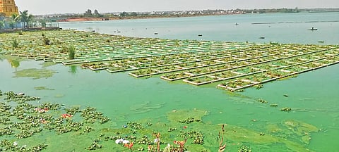 Unakal Lake