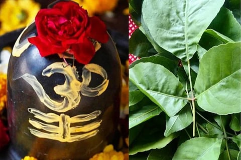 Untitled design (31) (1)