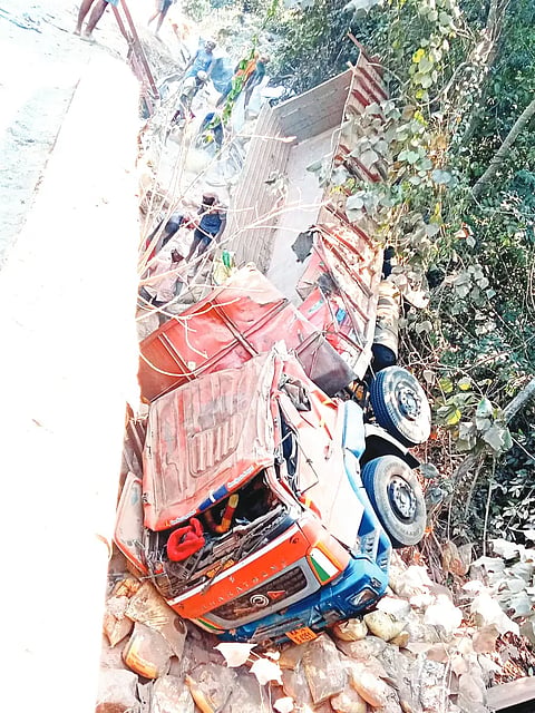 YLP LORRY PULTI