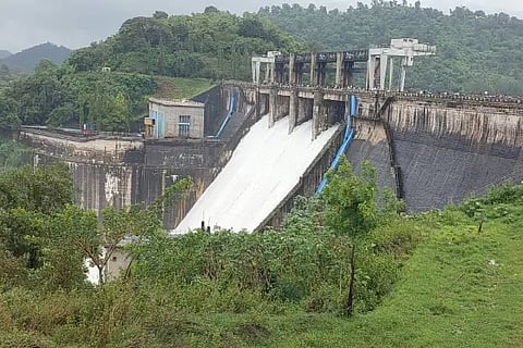 bhadra dam new