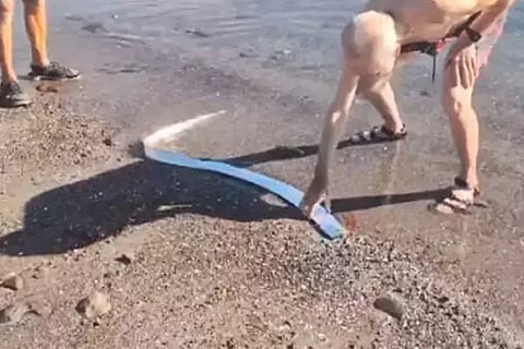Doomsday Fish