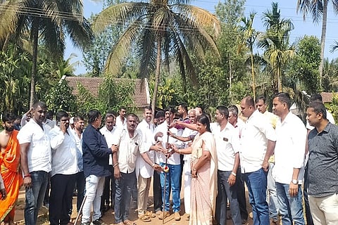 mla