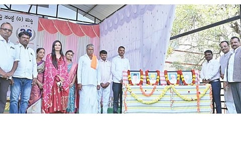 msk school