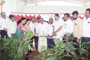 mysore
