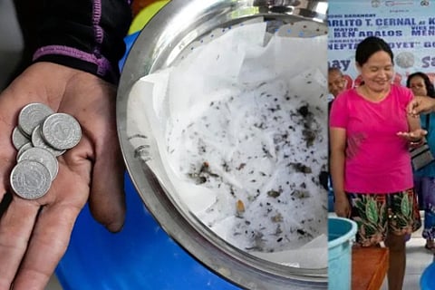 offering cash bounty for mosquitoes