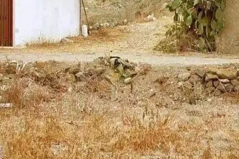 Optical Illusion