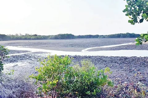 panchagangavali