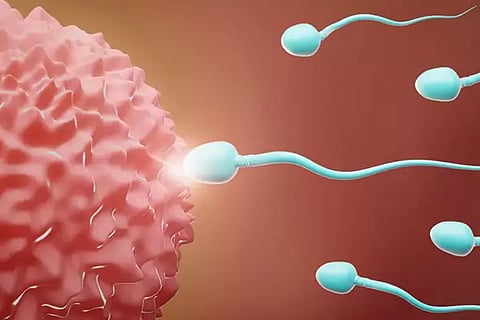 Sperm Count