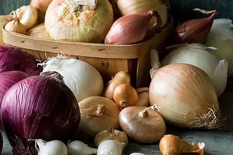 White and Red Onion