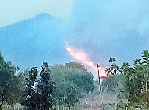 ಬೇಲದಕೆರೆ ಅರಣ್ಯಕ್ಕೆ ಬೆಂಕಿ