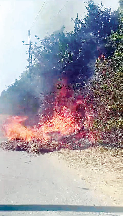 ಮಲೆತಿರಿಕೆ ಬೆಟ್ಟದಲ್ಲಿ ಕಾಳ್ಗಿಚ್ಚು