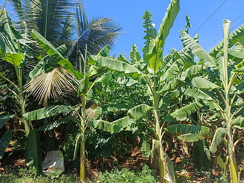 15rajesh3