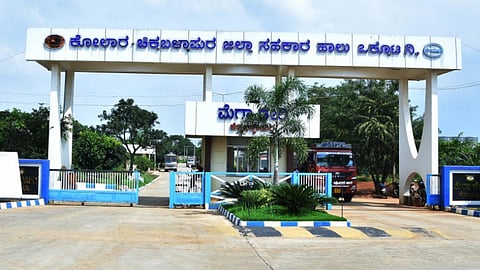 19cbp1KOCHIMULU.jpg