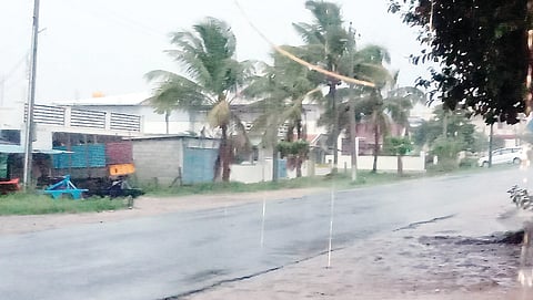 21blrp2. RAIN