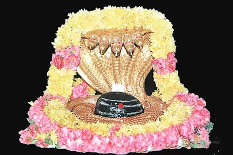 24th year of Dasoha service at Srisailam Hill