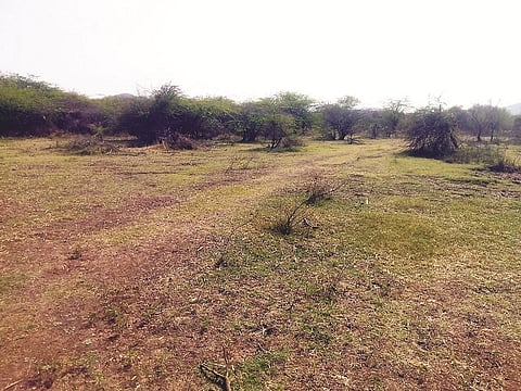 5-kollegalphoto-2,,