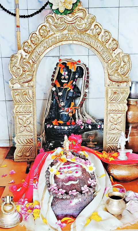 BNK VIVIDHA