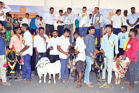 Hampi Utsav Tagaru Show