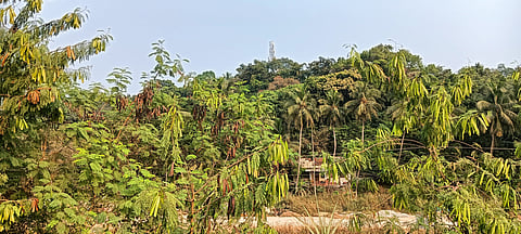 IMG20250222164229