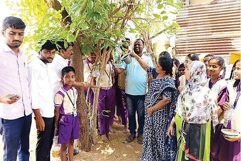Manvi World Sparrow Day