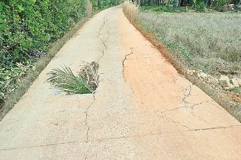 Mul_road collapses