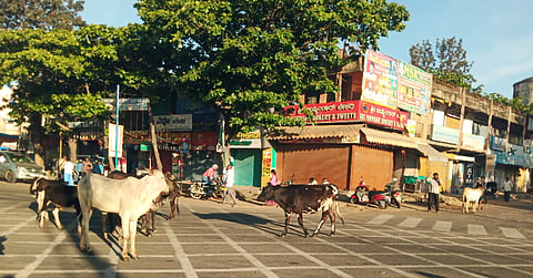 Mulabagilu Problums