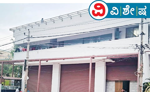 ನಾಯಿ ಕೊಡೆಗಳಂತೆ ತಲೆ ಎತ್ತಿದ ಪಿಜಿಗಳು