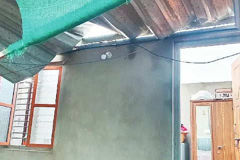 New Project (6)