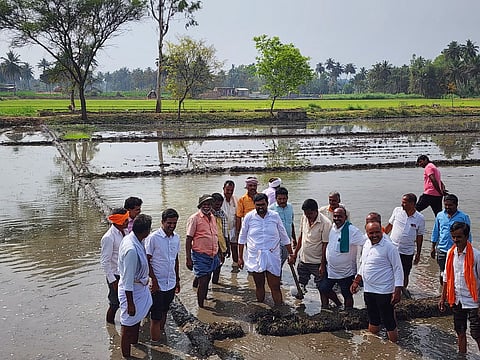 Paddy planting program in Kottatti Mandya