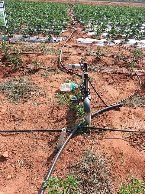 Poorigali Irrigation Project Mandya