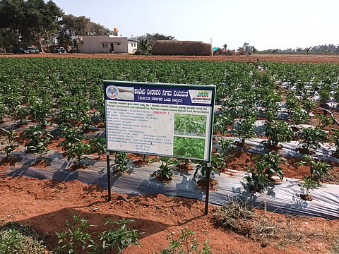 Poorigali Irrigation Project
