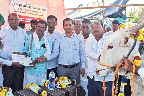 Prize distribution at the cattle fair