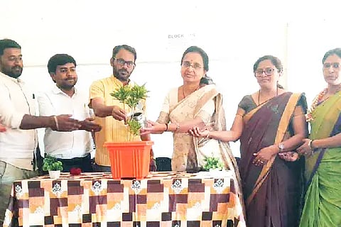 Provide opportunities for girls