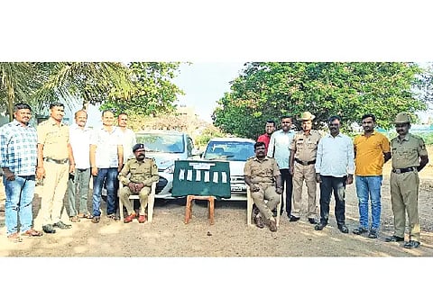 Sheep and goats arrested