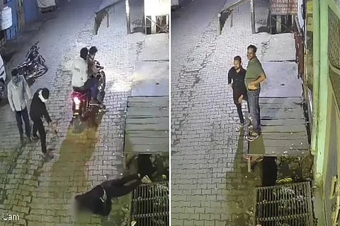 Shootout