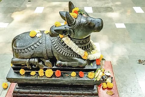 Tomorrow is the Nandi Basaveshwara festival in Nandikeshwara.
