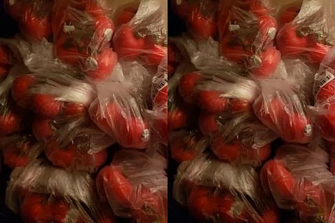 Untitled design (21)