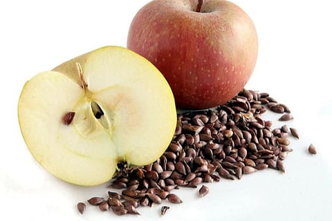 apple2