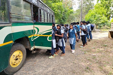 bus