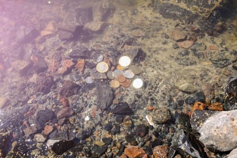 coin